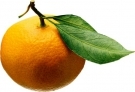 Масло эфирное бестерпеновое Апельсин