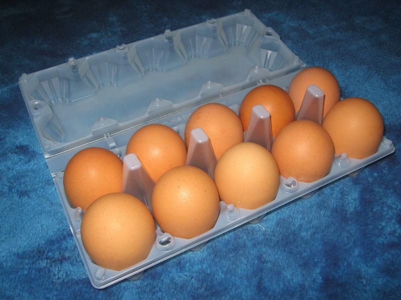Пластиковая упаковка для яиц на 10 штук