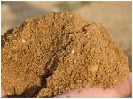 Песок природный II класса, средний, сеянный