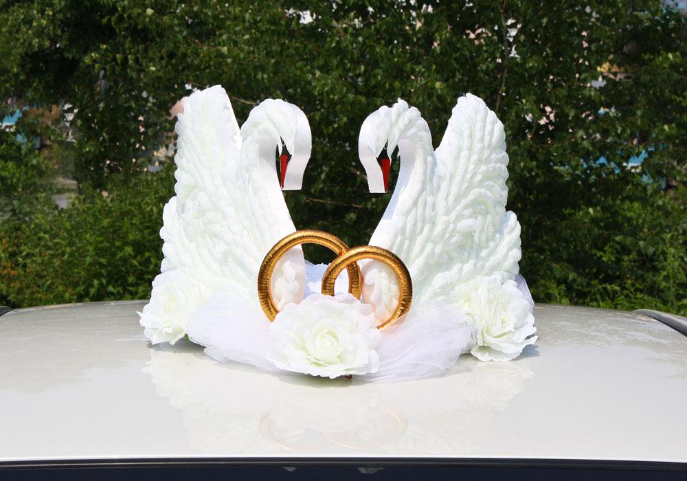 Свадебные кольца и голуби
