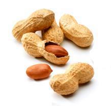 Орехи: арахис, миндаль, кешью, фундук