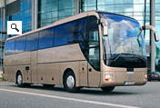 Автобусы Lion's Coach