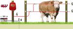 Электропастух для КРС коров крупно-рогатого скота
