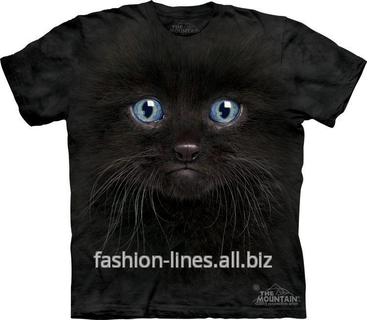 Мужская футболка The Mountain Black Kitten Face с мордой черного голубоглазого котенка