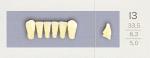 Зубы искусственные гарнитурные трехслойные акриловые фирмы «PoliDent» .
