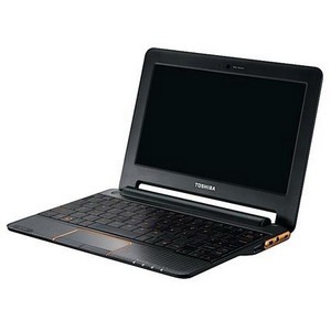 Нетбук Toshiba AC100-116