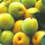 Концентрированное персиковое пюре  брикс 30-32%