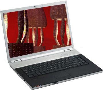 Ноутбук Sony Vaio VGN-FZ31ZR