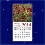 Календарь на магните 1. Цветы