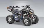 Квадроцикл STELS ATV 110D