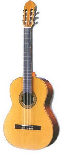 Гитара акустическая ALMIRES A50