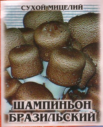 Сухой мицелий 