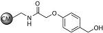 Смола для синтеза пептидных кислот Wang-ChemMatrix