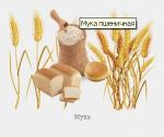 Мука пшеничная высшего сорта от производителя БКЗ, ООО. Украина, Бахчисарай.