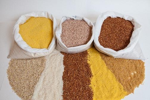 Зерна для проращивания Пшеница
