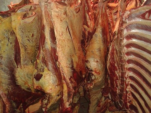 Фермерское мясо говядины из республики Беларусь