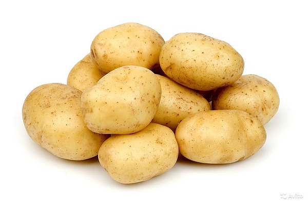 Картофель оптом сорта 