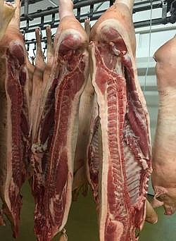 Мясокомбинат продает Свинину оптом от 5 тонн.