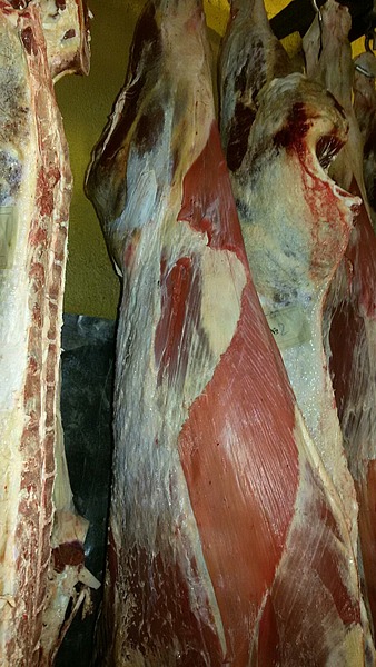 Мясокомбинат продает Говядину оптом от 5 тонн.