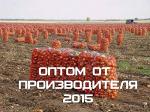 Картофель оптом от производителя