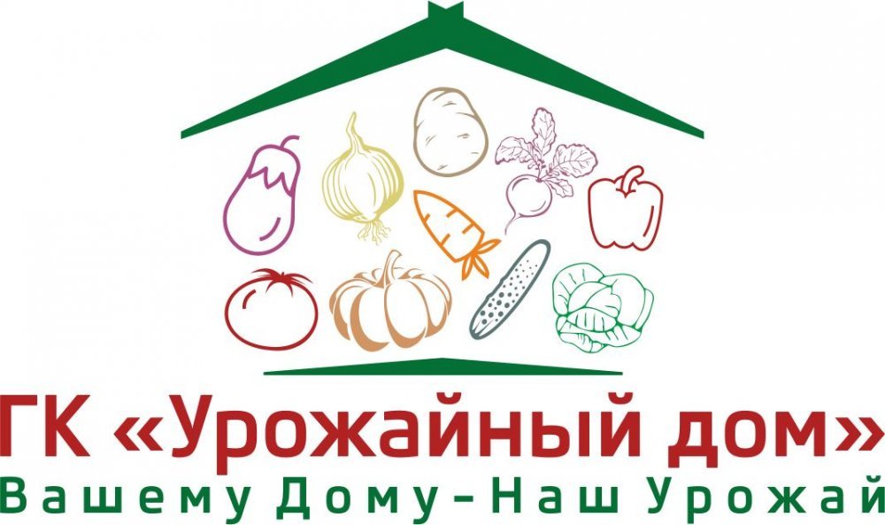 Овощи и фрукты оптом в СПб