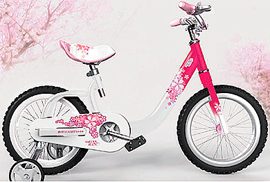 Детский велосипед Royal Baby Sakura Steel 12