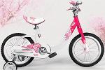 Детский велосипед Royal Baby Sakura Steel 12"
