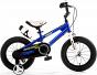 Детский велосипед Royal Baby Freestyle Steel 14